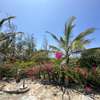 4 Bed Villa with En Suite at Watamu thumb 0