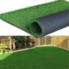 Carpet: 1000mm Green Office Carpet In Bomet thumb 8