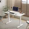 Standing Desks; Height Adjustable Standing Desk in Kisumu thumb 5