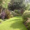 Landscaping & Gardening Services Kitisuru thumb 10