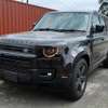 Land Rover Defender 110 2024 thumb 2