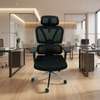 Lumbar Support Mesh Ergonomic Swivel Chair thumb 1