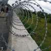 Galvanized Razor Wire Supplier in Kenya thumb 1