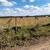 Expansive Rural Land 10 Acres Flat Fertile Soil thumb 4