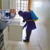 Pest Control and Fumigation Services Lucky Summer thumb 3