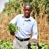Professional Gardeners for Hire in Thika Town | Call Now thumb 6