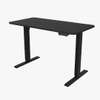 Black Standing Electric Desk thumb 1