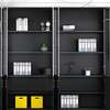 Officecabinet; 2 Door Reinforced Support Base Offcie Cabinet thumb 4