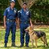 THE BEST SECURITY COMPANY IN NYERI, KENYA-BESTCARE thumb 1