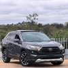 2021 Toyota RAV4 ADVENTURE thumb 0
