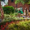Landscaping & gardening services in Nairobi | Give us a call today. thumb 0