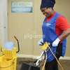 Washroom Hygiene Services in Upper Hill, Nairobi thumb 2