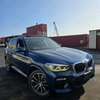 BMW X3 X -DRIVE 2019 20i thumb 0