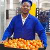 Factory Staffing & Recruitment Outsourcing | Limuru thumb 1