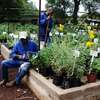 House Managers, Housekeepers, Chefs/Cooks, Estate Managers, Butlers, Chauffeurs/Drivers, Cleaners & Garden Services in Nairobi. thumb 9