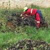 Professional Domestic Help Services in MURANGA thumb 11
