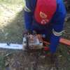 Trusted & Vetted Gardeners Recruitment Agency Kenya thumb 6
