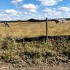 Expansive Rural Land 10 Acres Flat Fertile Soil thumb 0