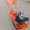 Farrowing Chain Tiller 7Hp thumb 2