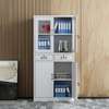 Office Cabinet; 2-Door  Filing Cabinet in Suneka thumb 0