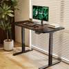 Height Adjustable electric standing desk thumb 13