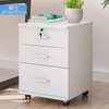 File Cabinet: Rolling Flat File Drawer With Lock 2 Keys thumb 0