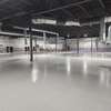 Terrazzo Material Supply and Installation Services at Meru thumb 0