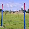 50by100 plot at Joska Malaa thumb 5