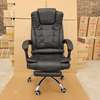Office Chair: Executive Office Chair with Footrest thumb 0