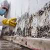 Professional Mould Removal in Karen,Lang'ata & Hardy thumb 2