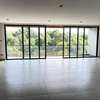 4 Bed Apartment with En Suite in Spring Valley thumb 1