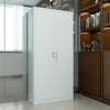 File Cabinet: Lockable Steel Cabinet For Office Use - Modern thumb 0