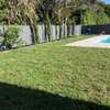 Expert Lawn Mowing & Garden Maintenance Limuru Tigoni thumb 2