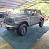 Jeep wrangler Rubicon Gray 2023 model thumb 1