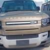 Land Rover Defender 110 Gold 2020 thumb 0