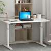 1200mm Standing Electric Table for Office thumb 2