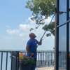 Window Cleaning Services in Upper Hill, Nairobi thumb 1