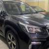 SUBARU SKE E BOXER AWD 2018model thumb 3