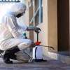 BEST Bed-Bugs Control & Fumigation Services in Ruaka 2023 thumb 8