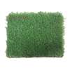 Carpet:100cm  Reception Office Carpet In Mogonga thumb 7