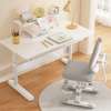 Adjustable Desk 1.2m Office Desk thumb 3