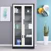 Modern 2-Door Steel Office File Cabinet thumb 4