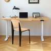 Standing Desks;Electric Adjustable Standing Desk In Nyacheki thumb 0