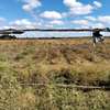 Expansive Rural Land 10 Acres Flat Fertile Soil thumb 3