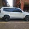 Prado 120 thumb 2
