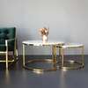 Coffee Table; Marble Nesting Coffee Table in Suneka thumb 2