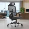 Executive Orthopedic Mesh Office Chair thumb 1