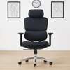 Executive Chairs : Ergonomic High back Office Chair thumb 5