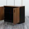2 Door Lockbale Credenza Cabinet thumb 6