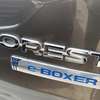 Subaru Forester E-boxer Grey 2018 thumb 7